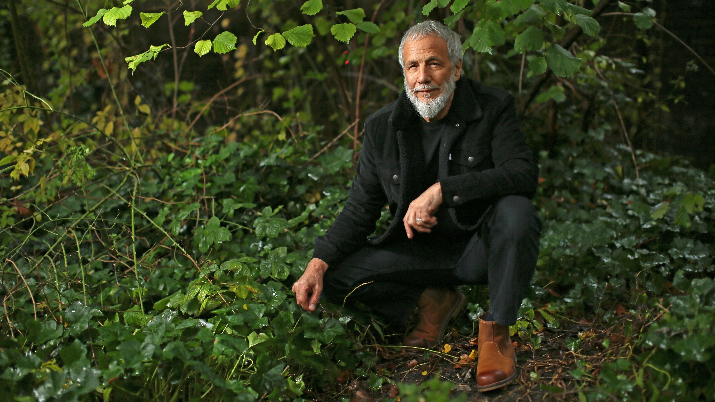 Yusuf Revisits 'Tea For The Tillerman,' His Masterpiece As Cat Stevens
