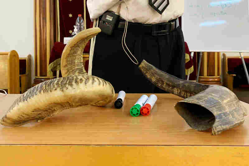 Wanted in Israel: More Shofar Blowers For Socially Distanced Jewish New Year 2 img 5347 slide d8e09dd115868fc550d54b3364dde0d5a5e66f54 s800 c15