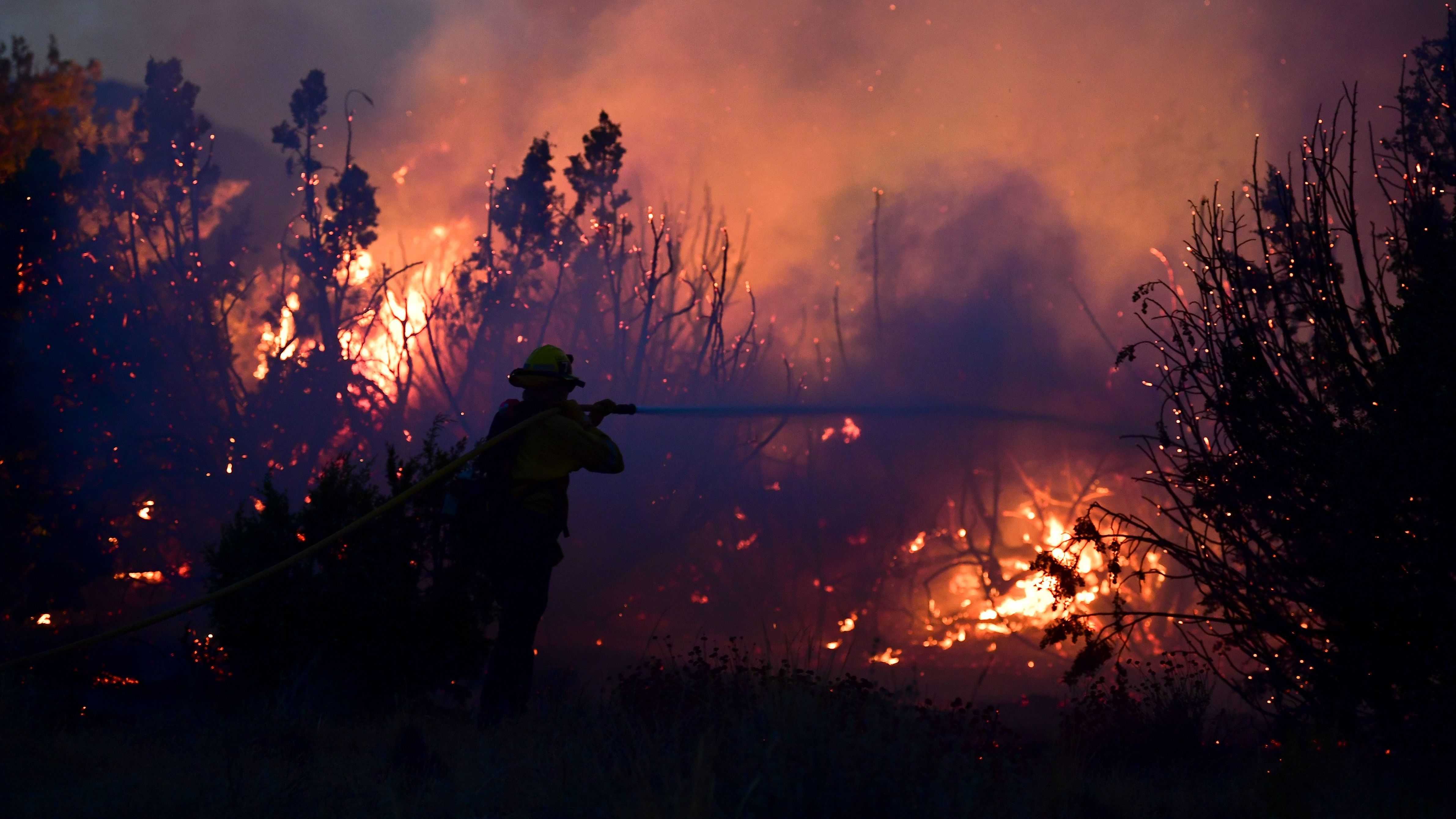 A firefighter works to put out flames of the Bobcat Fire in Juniper Hills, Calif. As of Sunday, the wildfire has grown to more than 99,000 acres and is 15% contained.