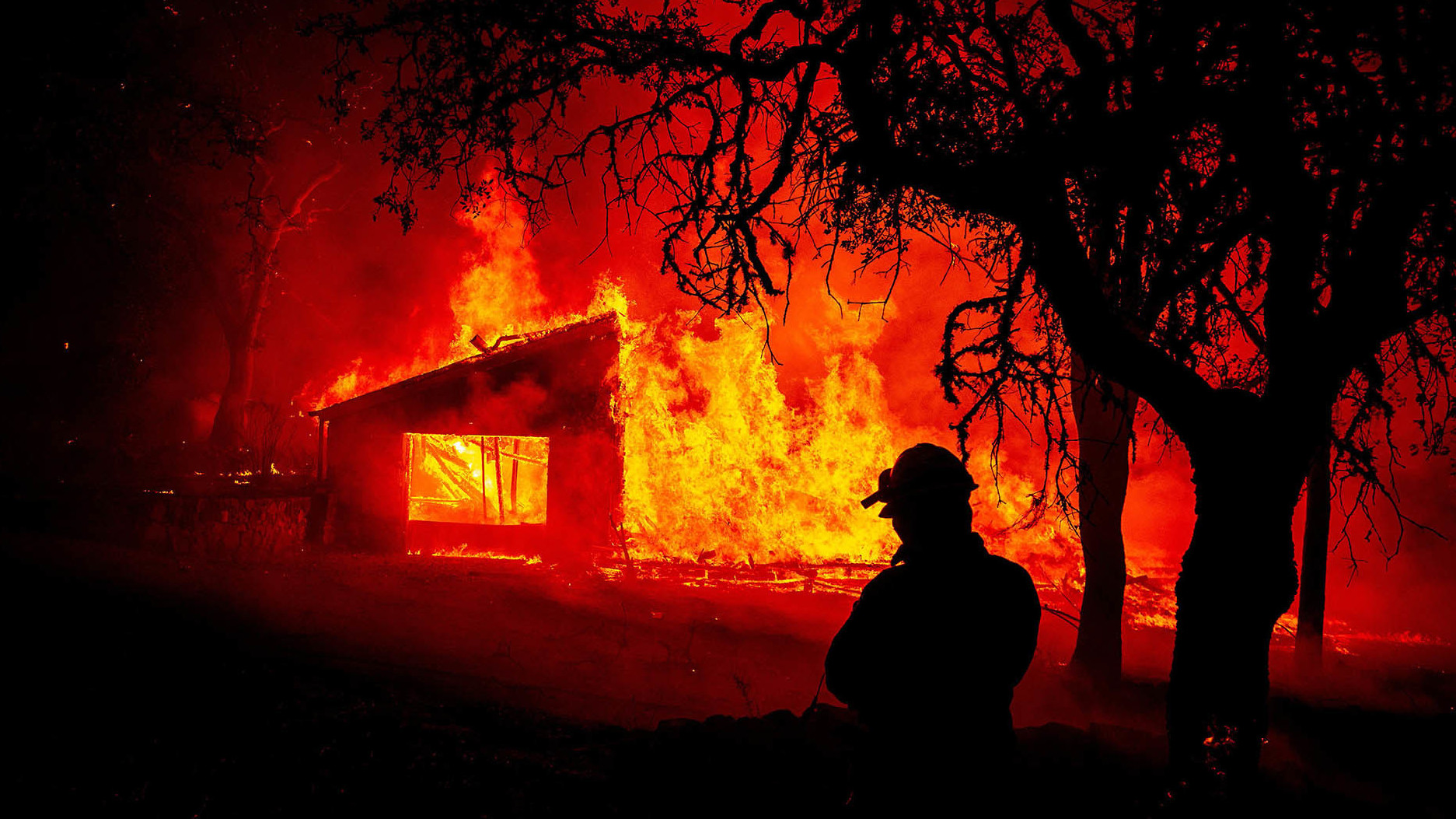 к чему снится лесной пожар