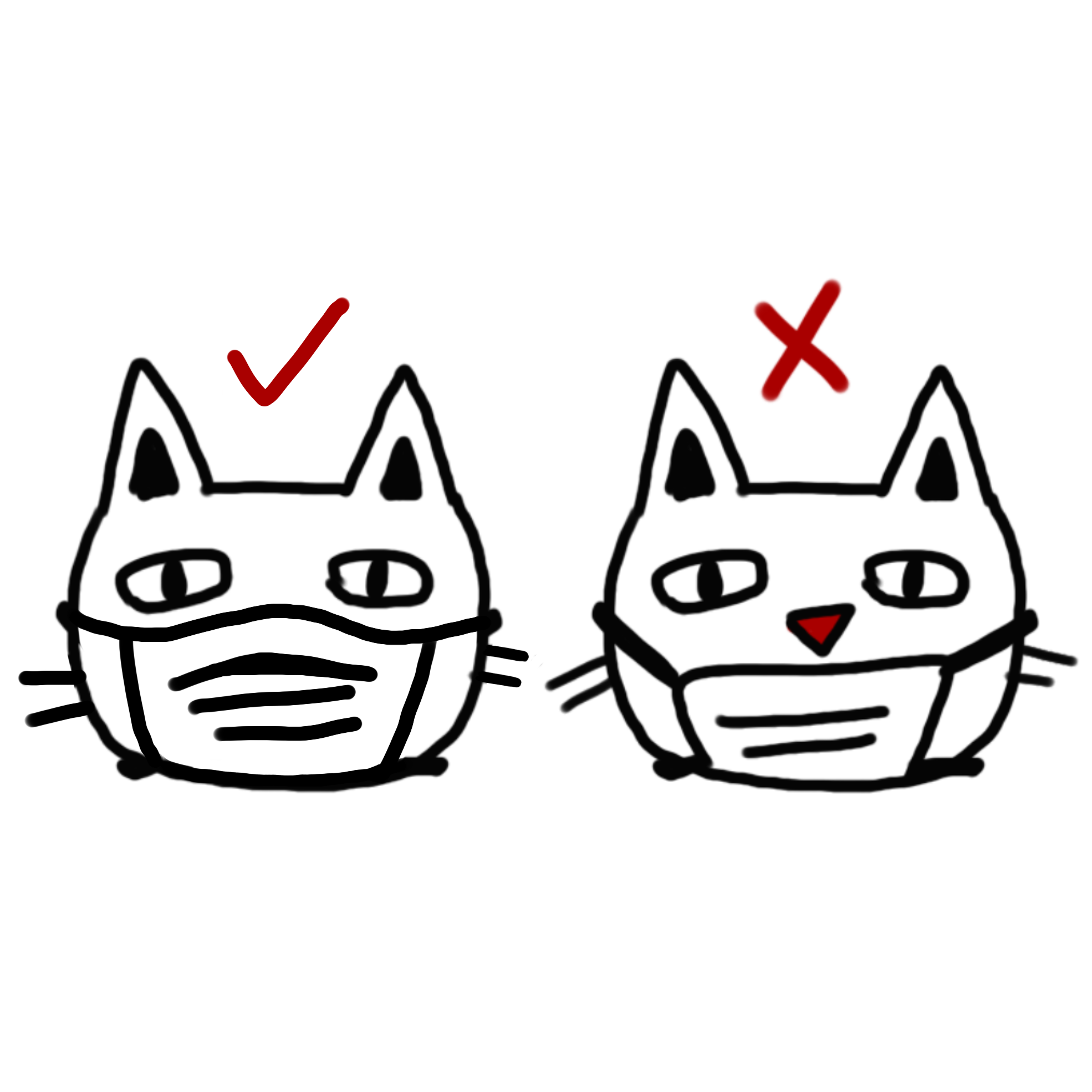COMIC: You're Wearing It Wrong! A Face Mask Safety Refresher