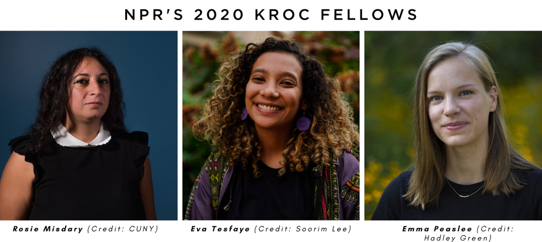 2020 Kroc Fellows