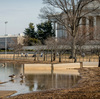 Landscape Architects Unveil Plans To Save The National Mall's Tidal Basin