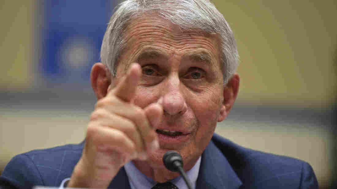 Trump Hints He Might Fire Fauci After Election As Coronavirus Cases Rise 1 fauci wide ea7c0fc7fa4ca5b89d3ab149d763f77fcb2883ee s1100 c15