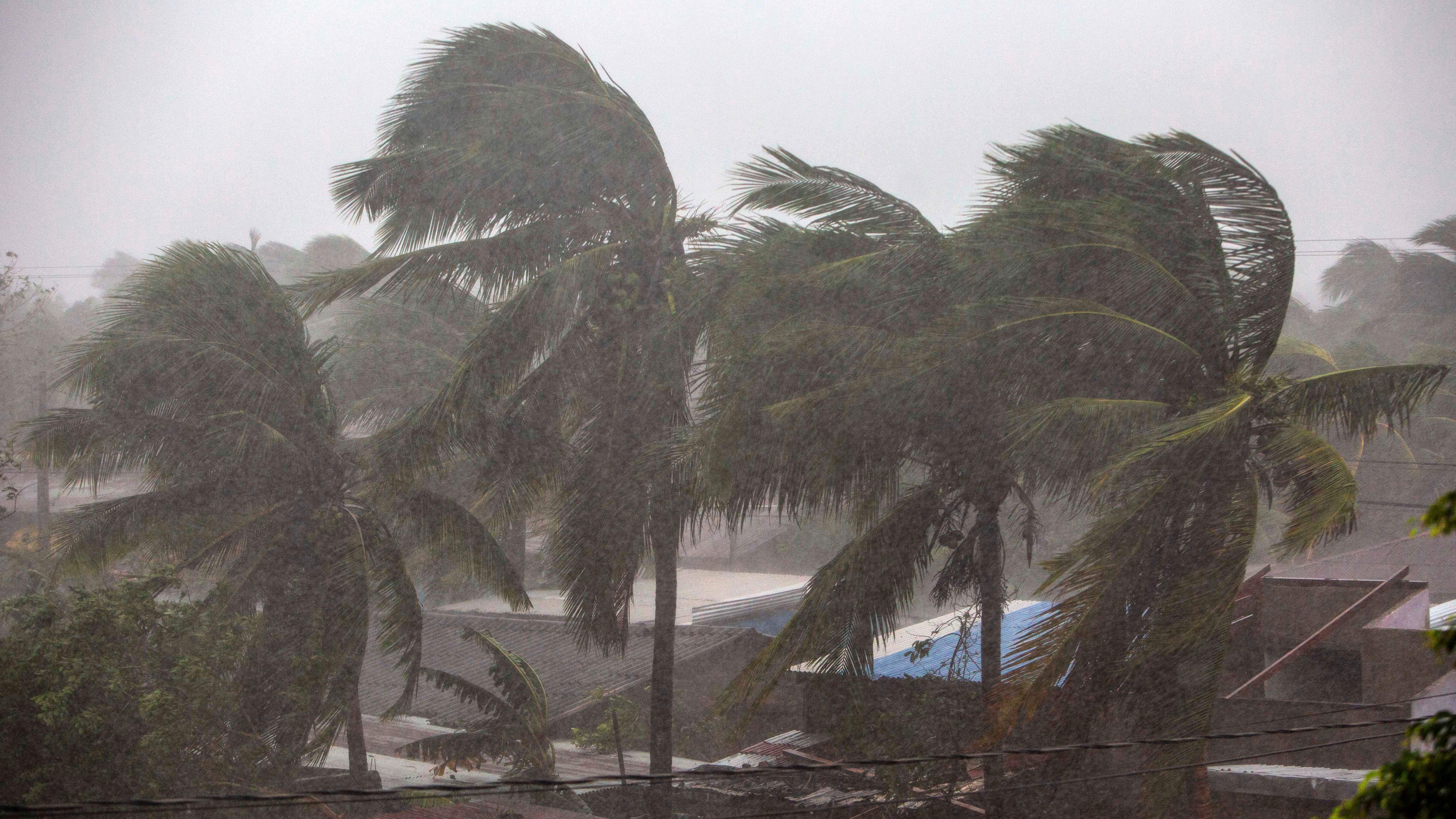 Palm trees blow in the wind as Hurricane Eta nears landfall in Bilwi, Puerto Cabezas, Nicaragua, on Tuesday.