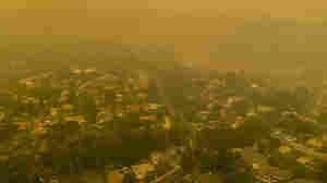 U.S. Faces Global Criticism For Ditching Paris Climate Deal