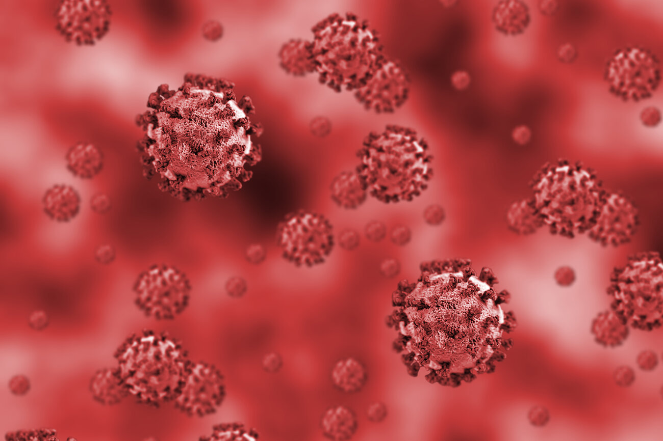 COVID-19 can cause symptoms that go well beyond the lungs, from strokes to organ failure. To explain these widespread injuries, researchers are studying how the virus affects the vascular system.