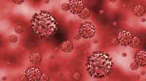 Clots, Strokes And Rashes. Is COVID-19 A Disease Of The Blood Vessels? 