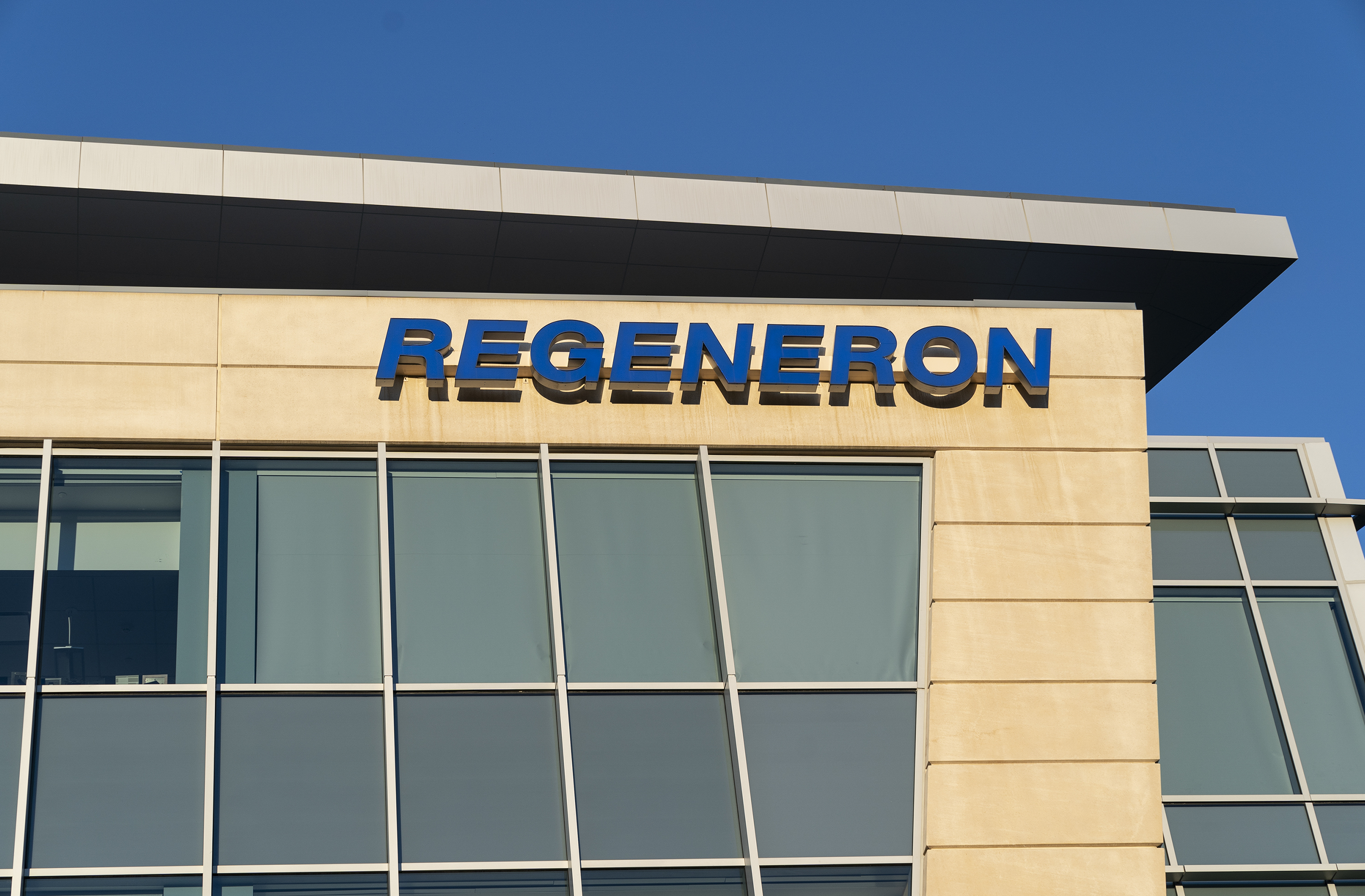 Regeneron has developed a drug called REGN-COV2 that is a combination of two monoclonal antibodies that block the virus that causes COVID-19. The company has a contract to supply up to 300 million doses to the U.S. government. (Pacific Press/LightRocket via Getty Images)