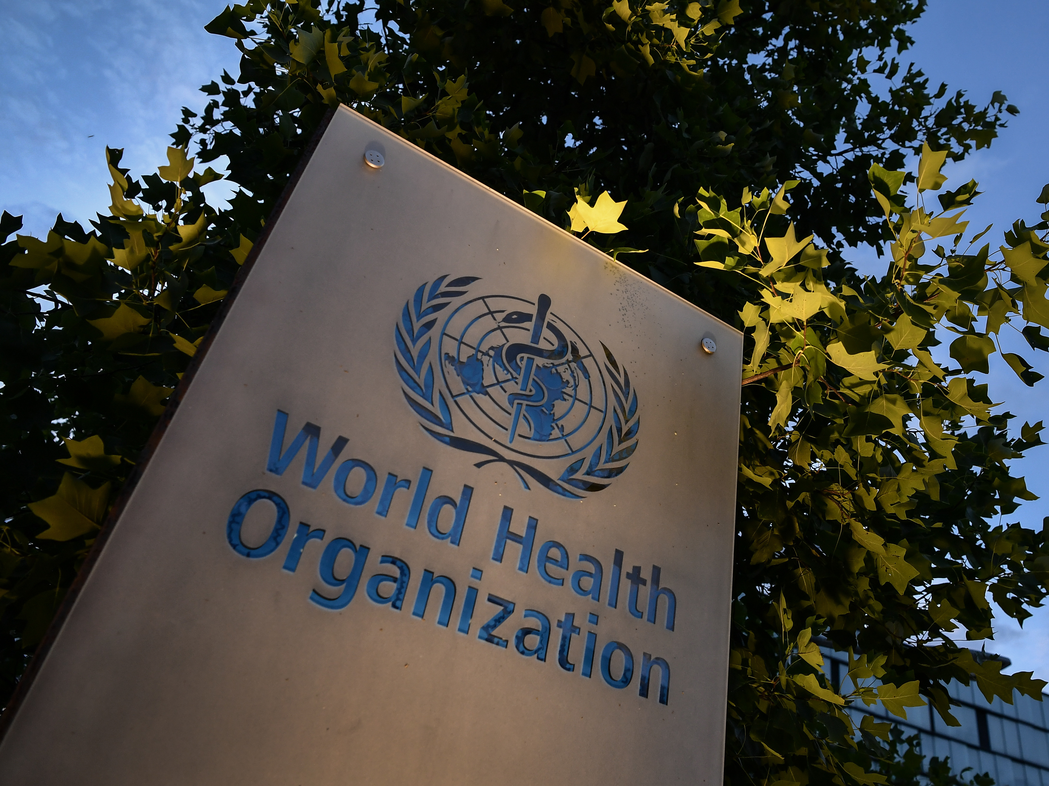 The World Health Organization, a U.N. agency founded in 1948, is headquartered in Geneva, Switzerland. Trump had pledged to withdraw U.S. participation by July 2021. Biden says he will rejoin on the first day of his administration. (AFP via Getty Images)
