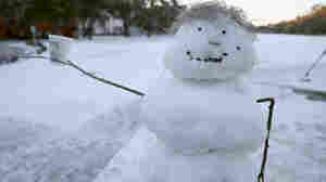 How Will Your Favorite Holiday Traditions Fare This Year? Tell Us About It 