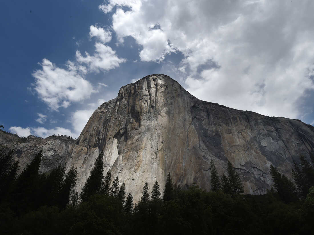 Emily Harrington Free Climbs Yosemites El Capitan In 1 Day Npr 