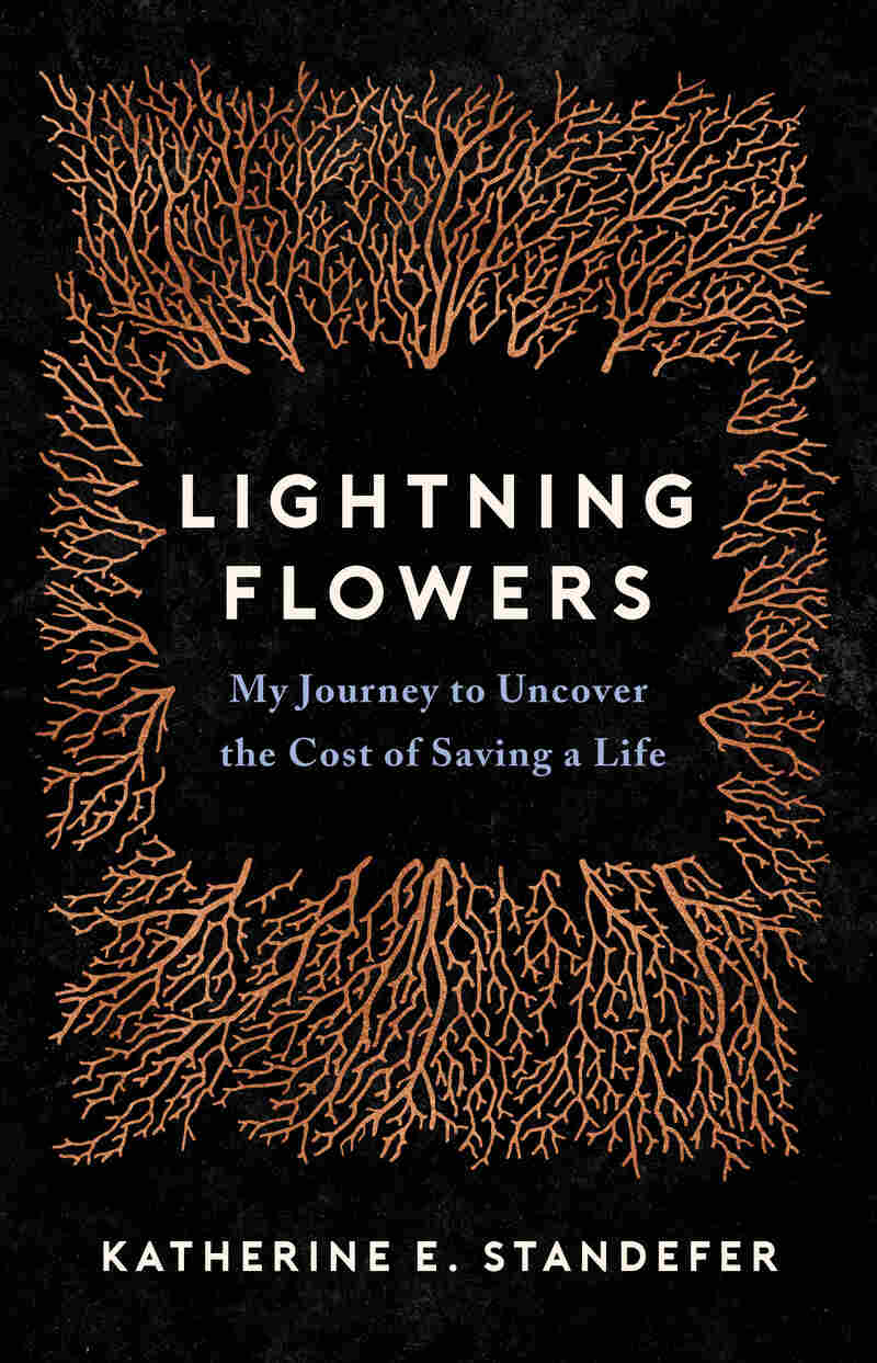 Lightning Flowers, by Katherine Standefer