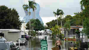 Hurricane Eta Works Its Way Up Florida's Gulf Coast