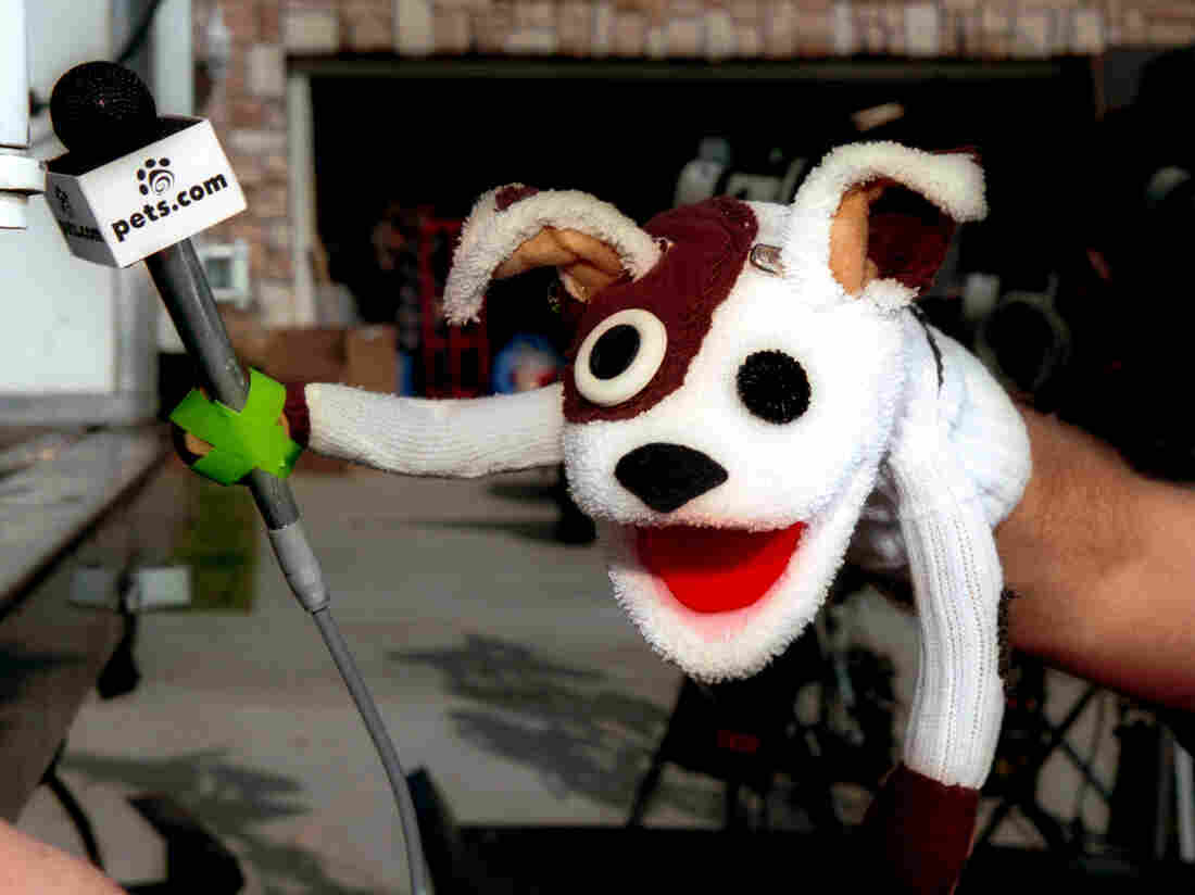 The pets.com sock puppet dog stars in a commercial for the company, Los Angeles, California, January 11, 2000. (Photo by Bob Riha/Liaison/Getty Images)