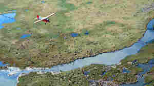 Trump Administration Rushes To Sell Oil Rights In Arctic National Wildlife Refuge 