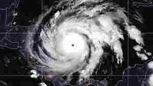 Hurricane Iota Makes Landfall In Nicaragua, Region Braces For 'Catastrophic' Impact