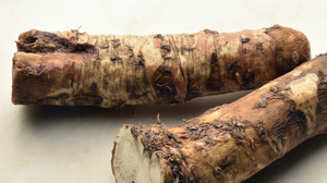 Susan Stamberg's Cranberry Relish Tradition : NPR