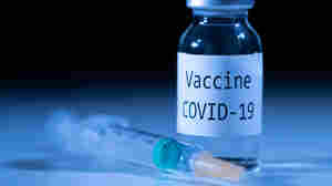 Vaccine Trials Point To December Doses, 'Light At The End Of The Tunnel'