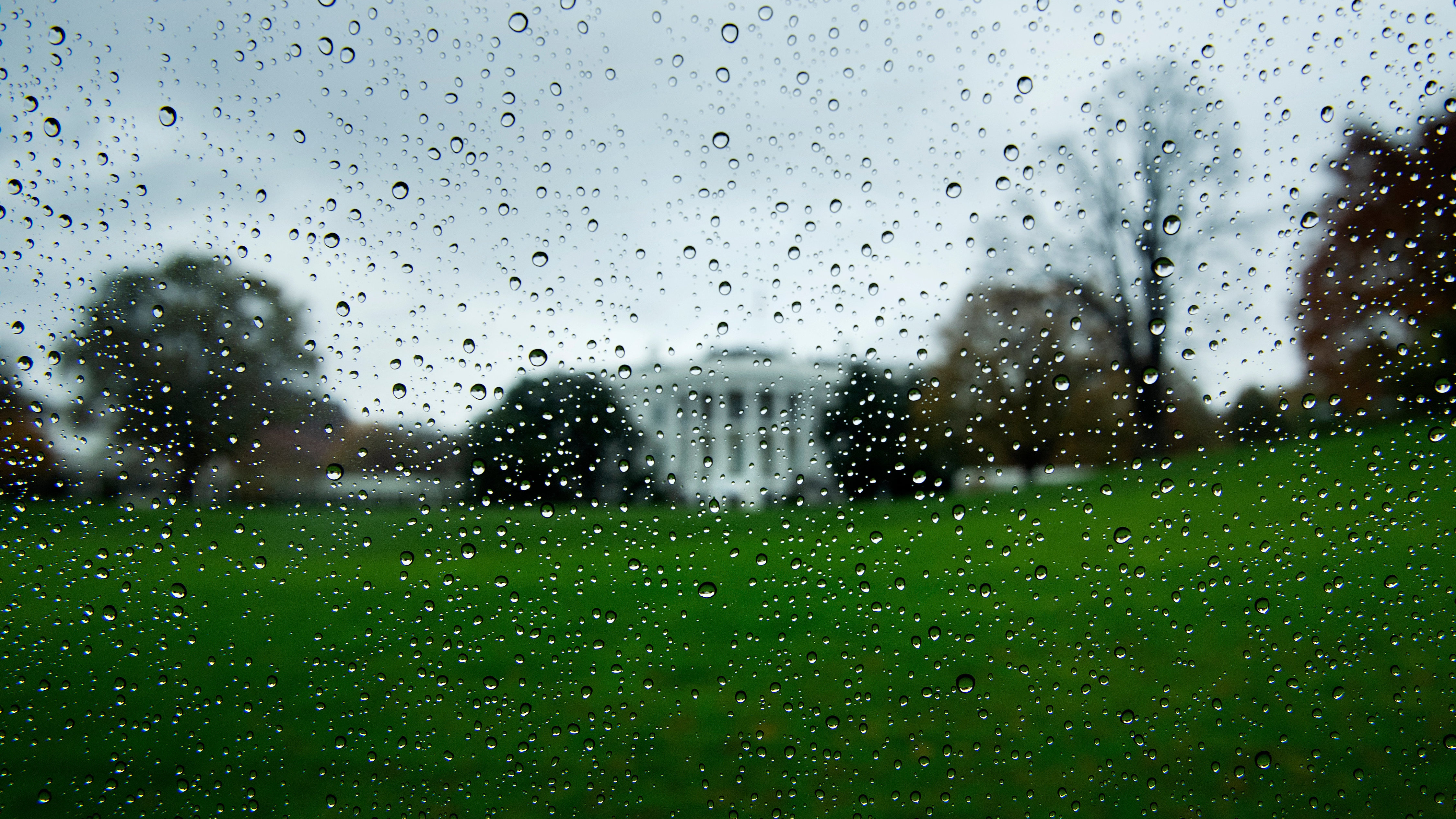 President Trump's loss to Joe Biden has made it difficult for Republicans to celebrate victories down ballot, while Democrats have been stung by the failure to meet expectations created by polling that suggested a blue tsunami. (AFP via Getty Images)