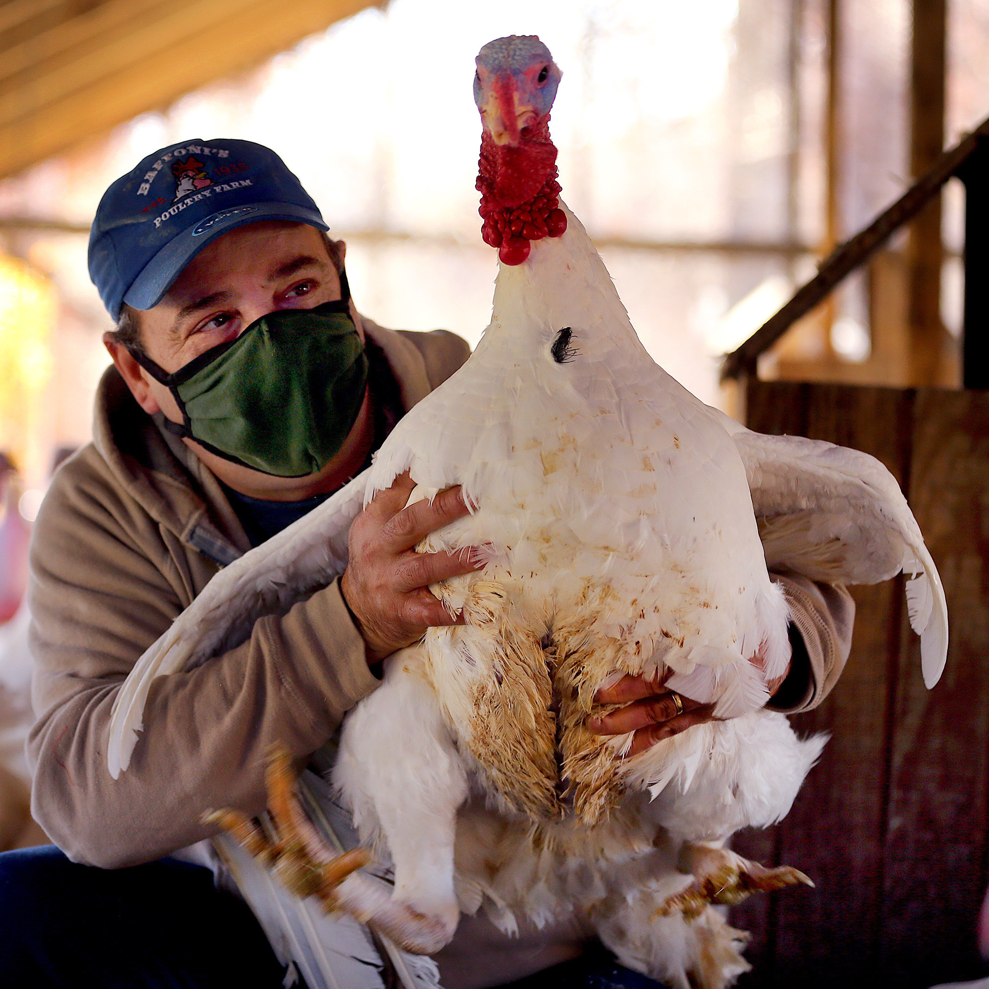 How To Have A Safe Thanksgiving