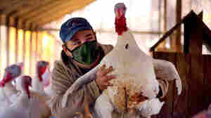 How To Have A Safe Thanksgiving