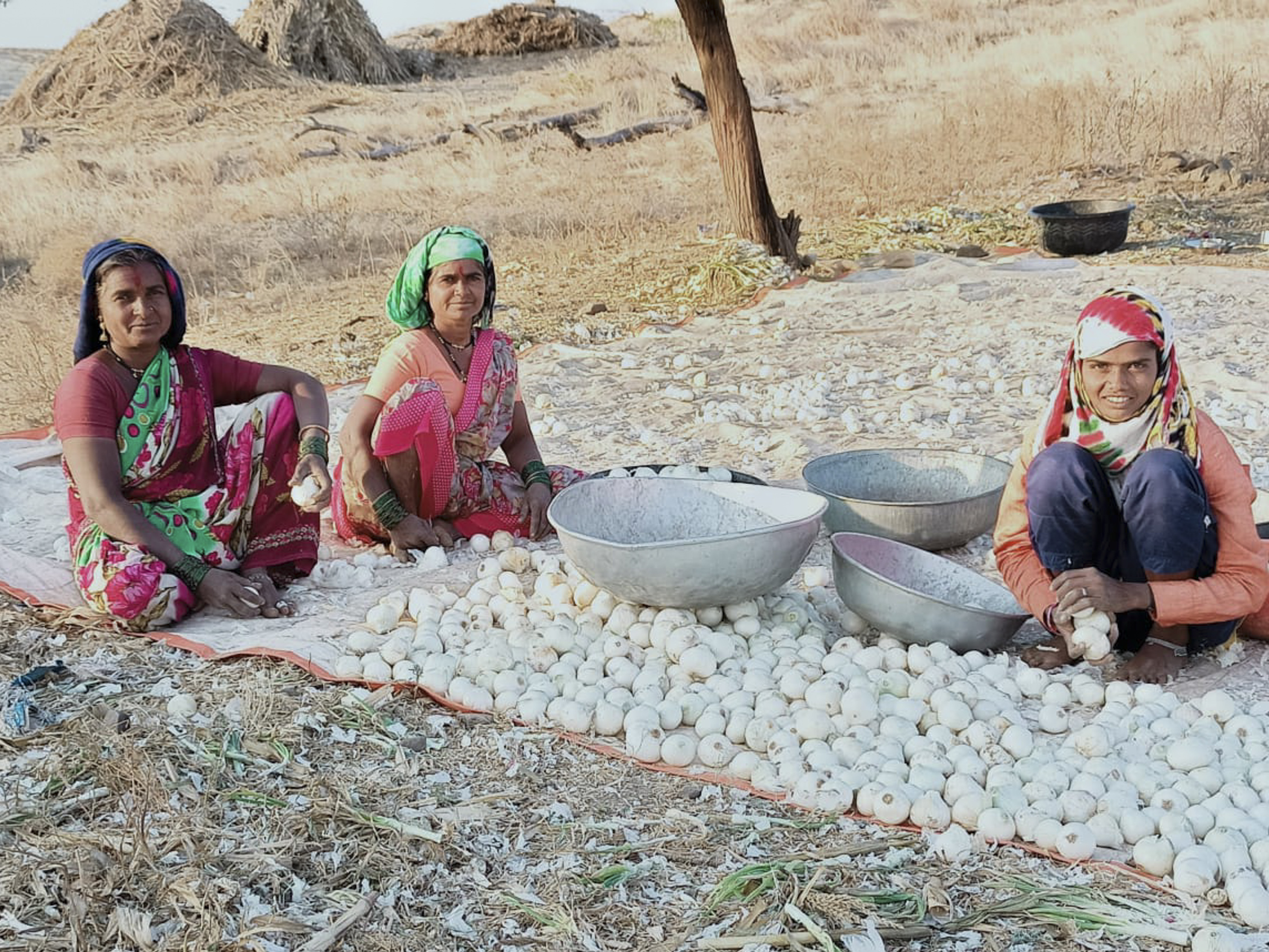 Why A Field Hockey Champ In India Is Now Harvesting Onions And Herding Goats - Vimarsana News