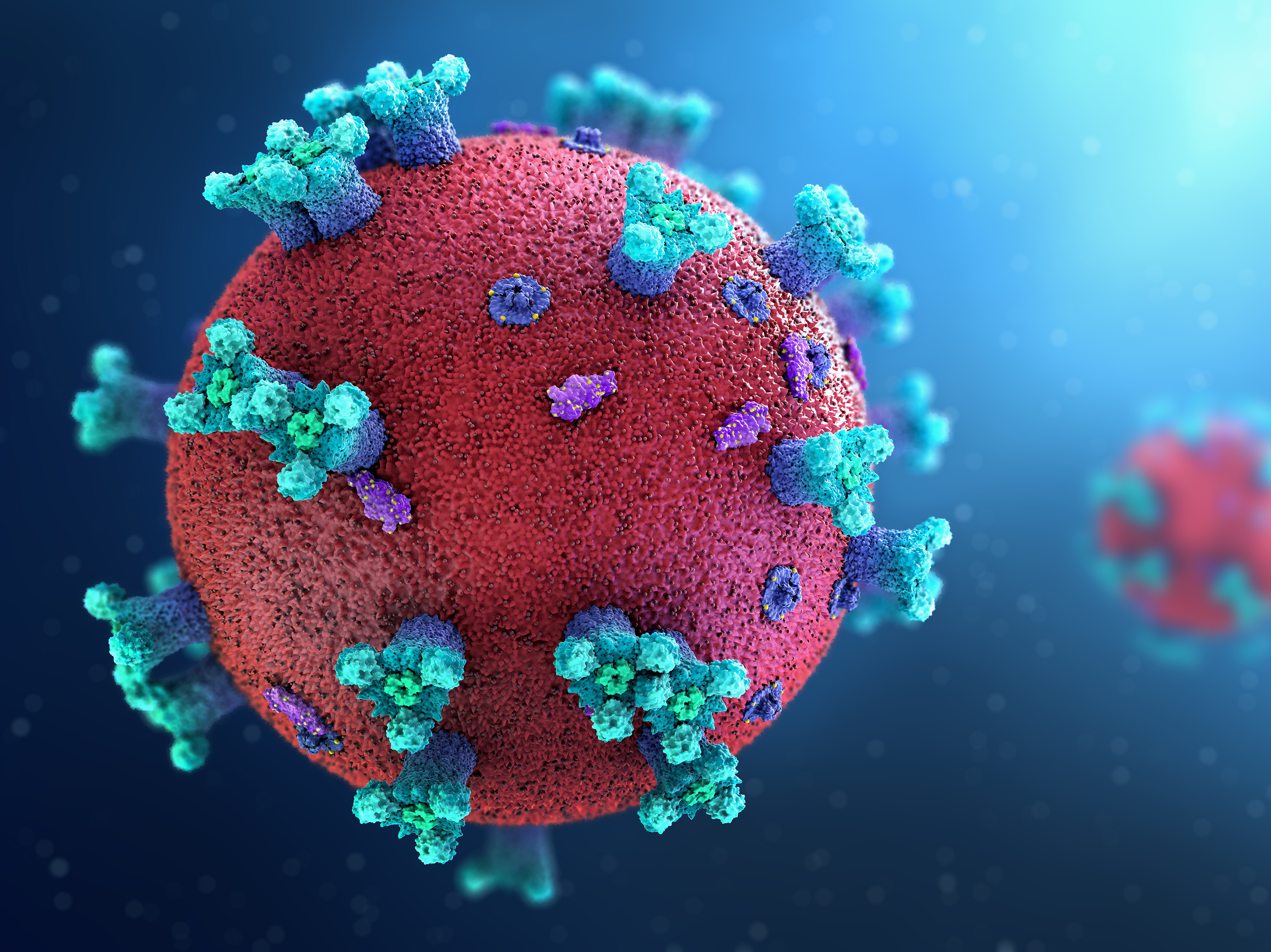 3 Questions And The Emerging Answers About COVID-19 Vaccine Protection