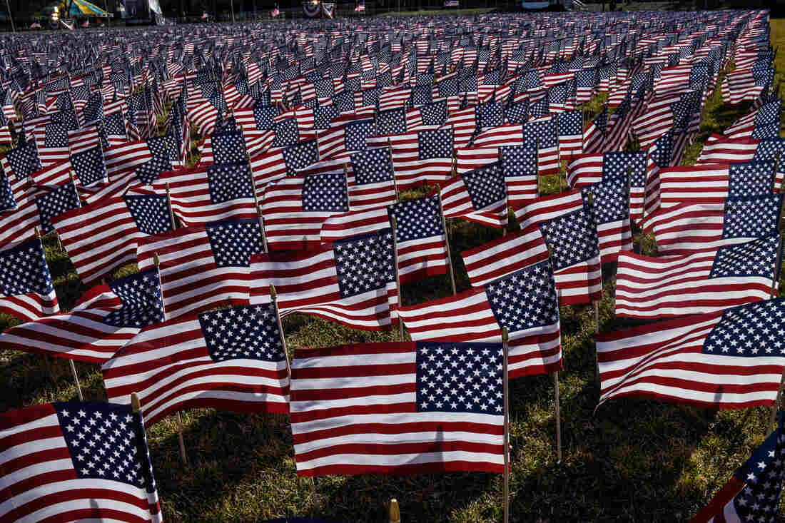 The National Mall is filled with decorative flags.