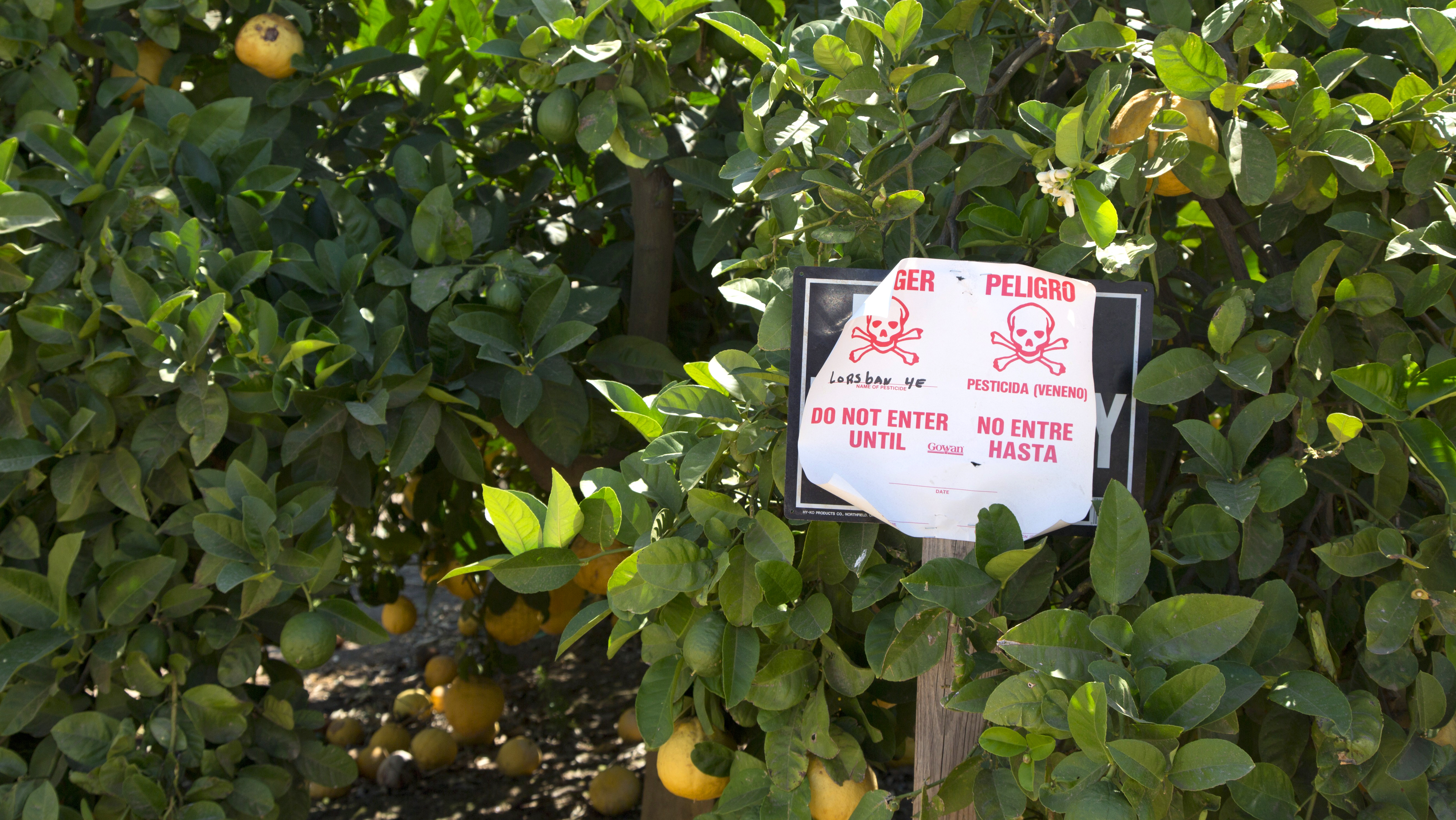 Biden Moves To Reexamine Toxic Pesticide : Inauguration Day: Live Updates : NPR - Vimarsana News