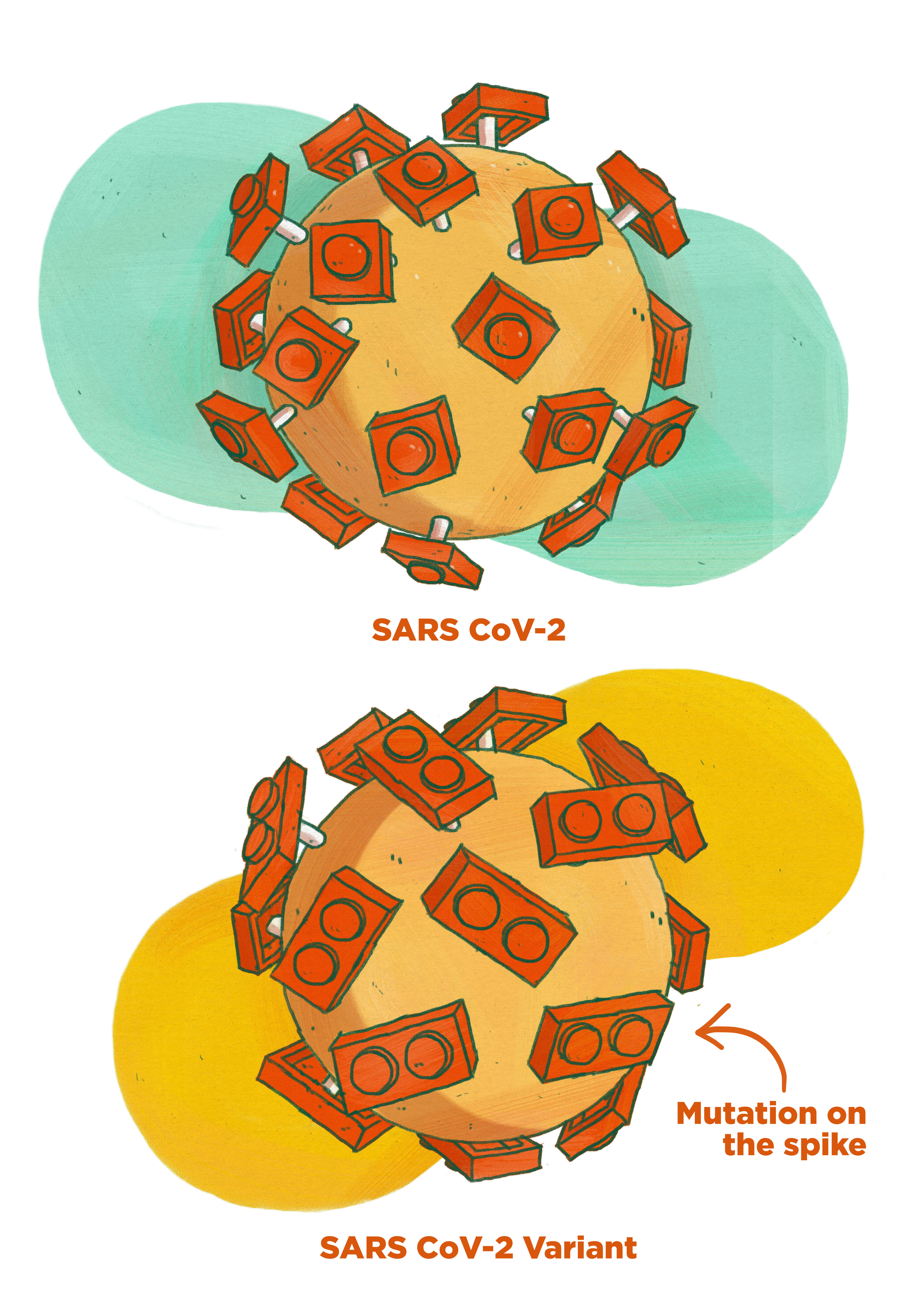 The new SARS CoV-2 variants include mutations on the spike of the virus which give it an advantage.