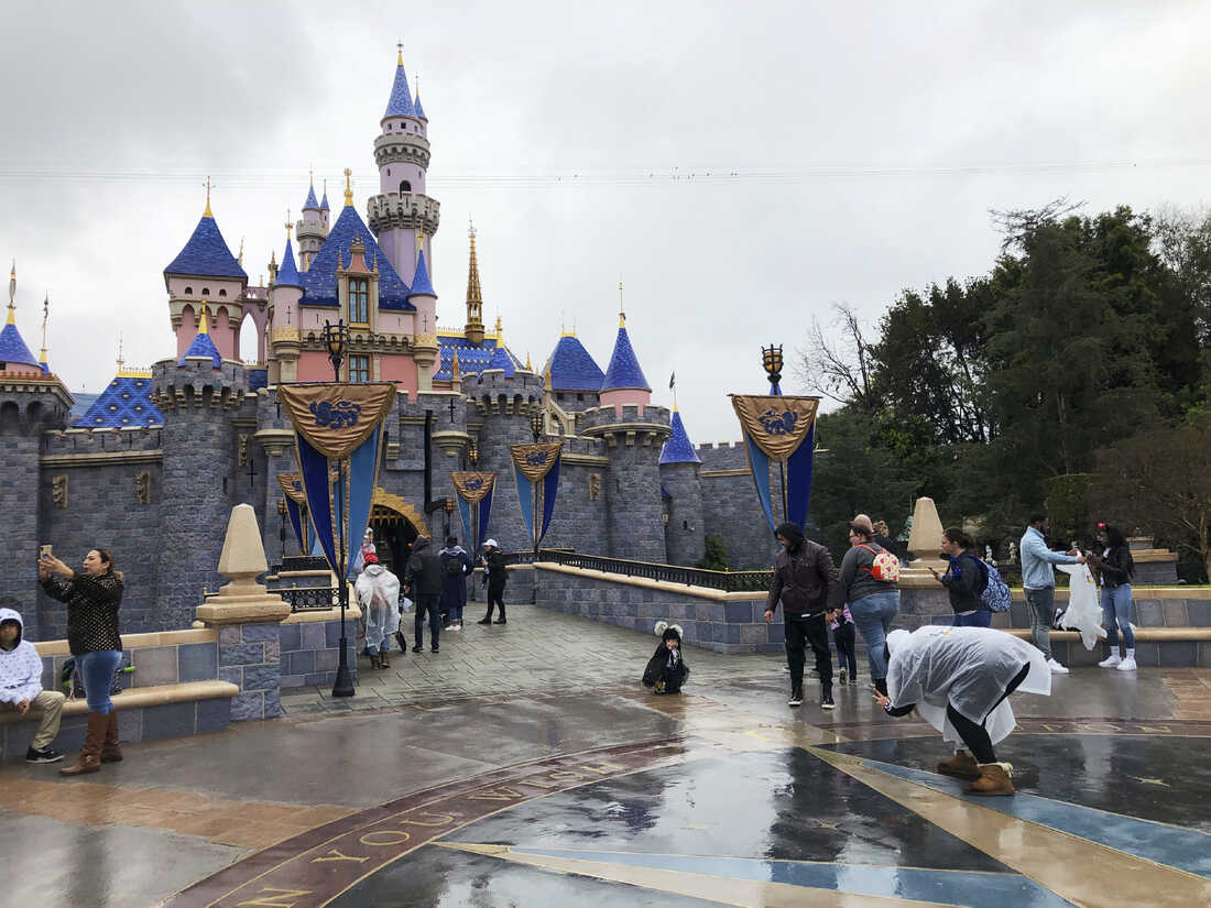 Guests Look on as Flames Shoot From Disney Castle