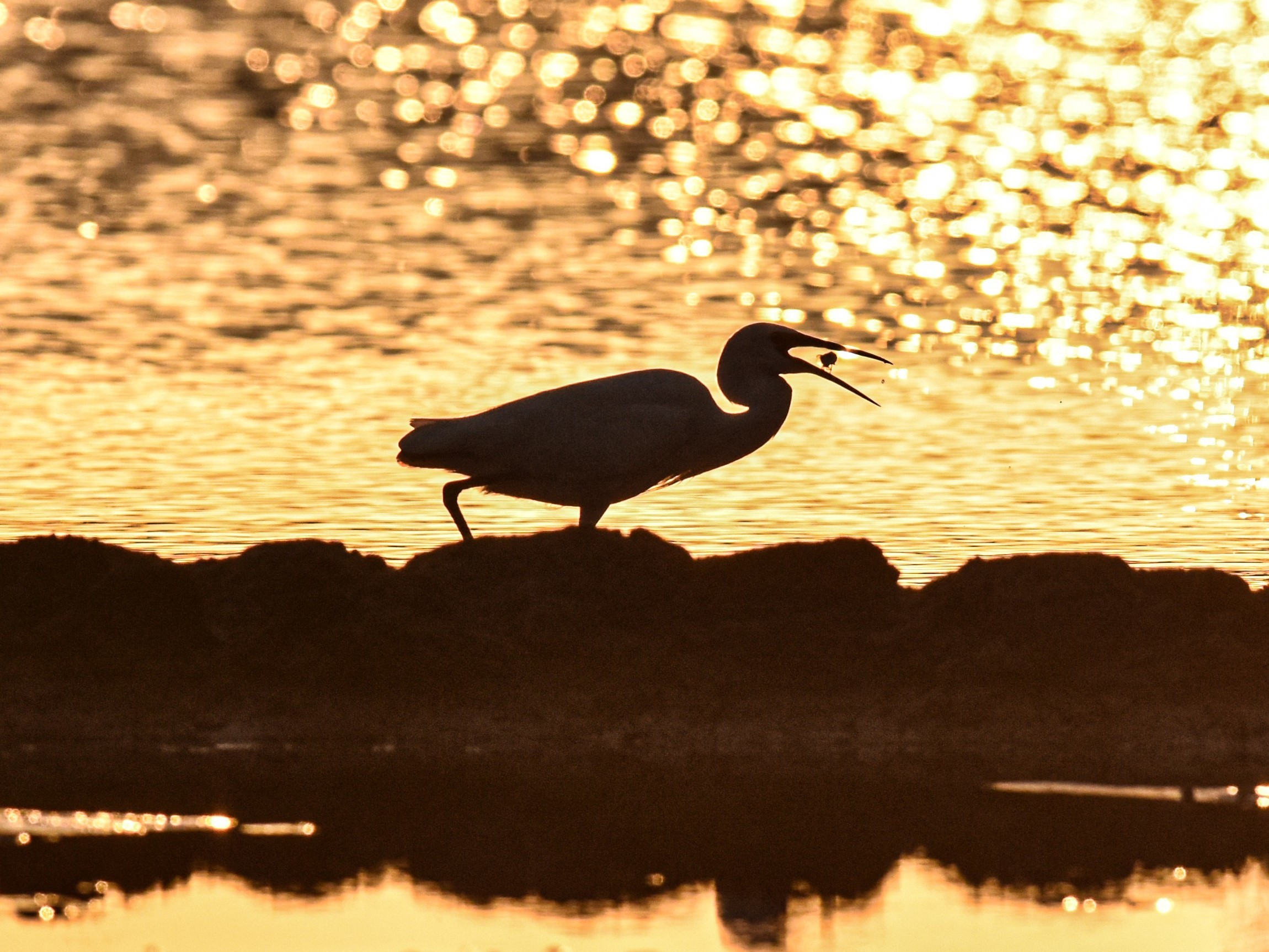 Could we pay back the Earth for what it provides? A new report offers a roadmap