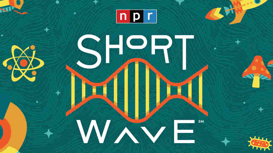 Short Wave, the daily science podcast from NPR