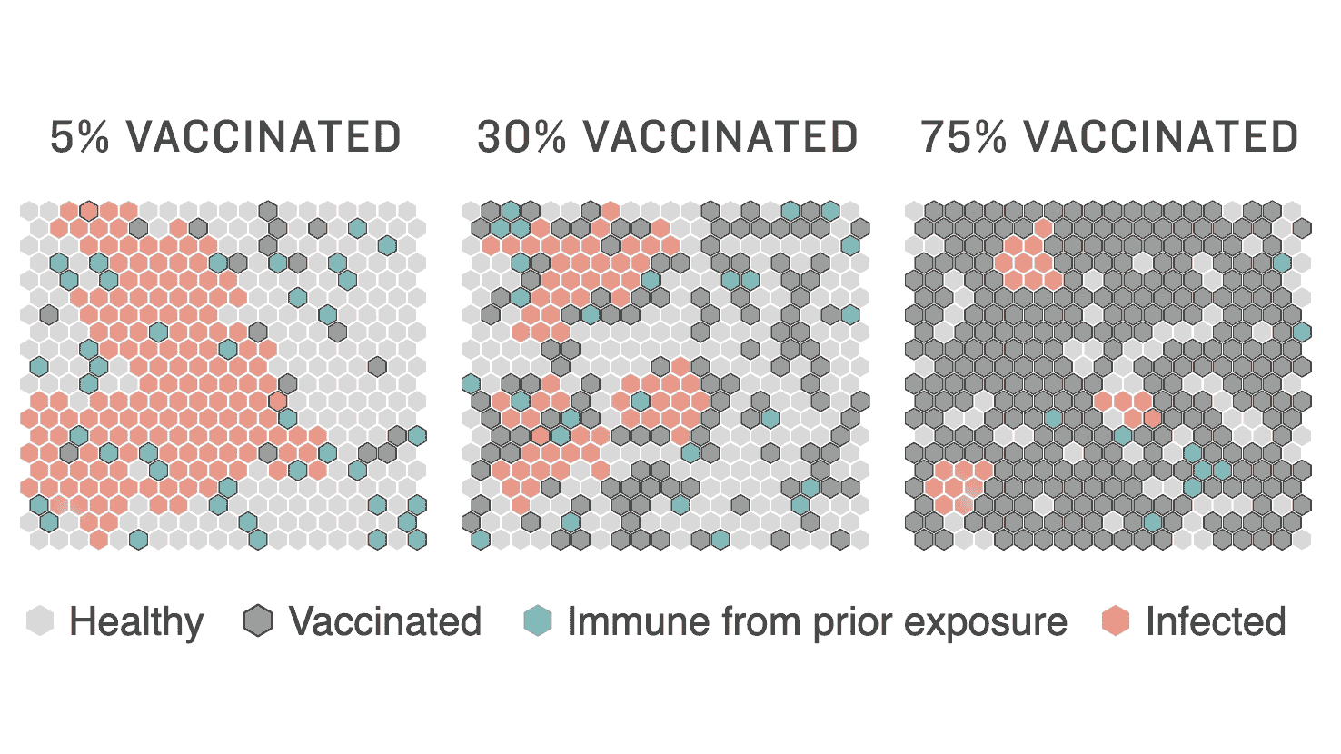 How Herd Immunity Works — And What Stands In Its Way | NPR | KCRW