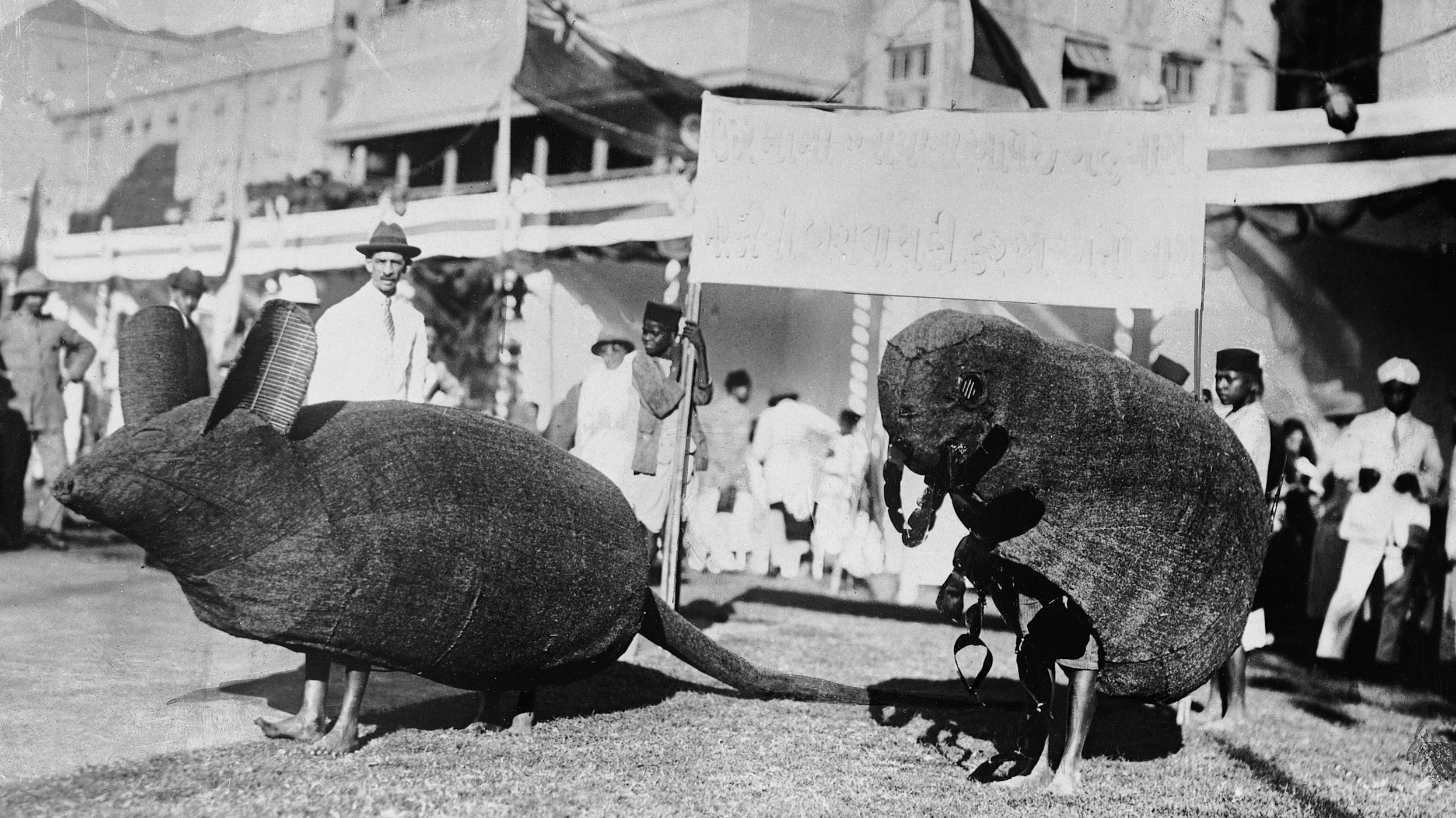 Pandemic Perspectives: How Bubonic Plague Reshaped Mumbai's Streets : Goats and Soda : NPR - Vimarsana News