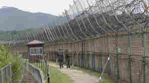 North Korea Defector Swims To South, Evading Border Guards For 6 Hours