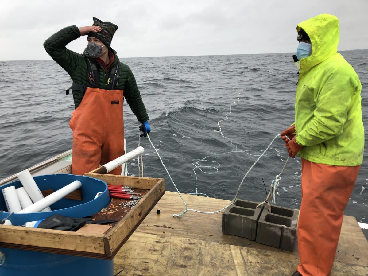 Adam Baske (left) and Capt. Rob Odlin of Running Tide Technologies in the Gulf of Maine. They release rope that's entwined with early-stage kelp, a fast growing seaweed that will soak up carbon dioxide. (Maine Public)