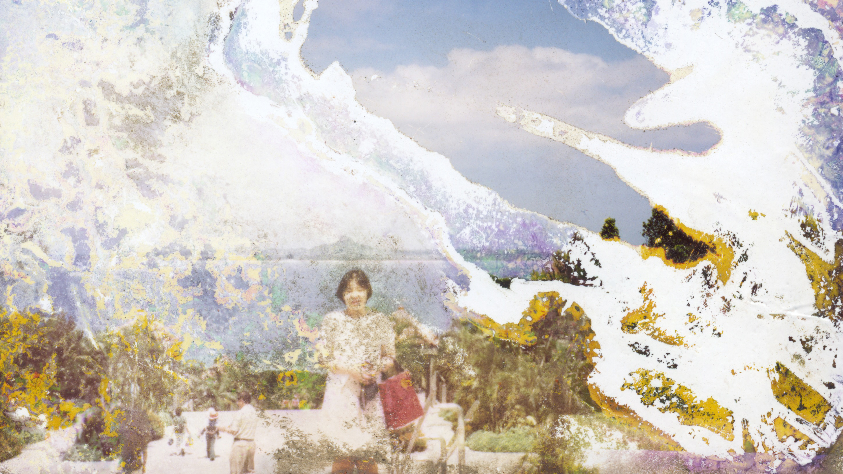 10 Years Later, The Rescued Snapshots Damaged In Japan's Tsunami - Vimarsana News
