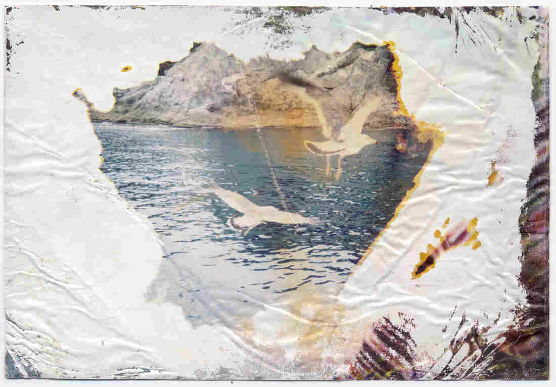 Damaged family photos from Japan's tsunami and nuclear disaster in 2011.