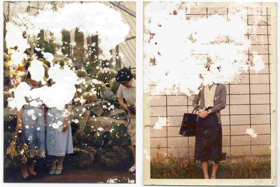 Damaged family photos from Japan's tsunami and nuclear disaster in 2011.