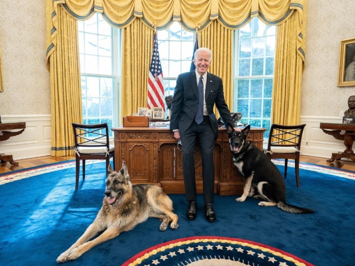 President Biden's Dog Spooked, Causes 'Minor Injury' Incident : NPR