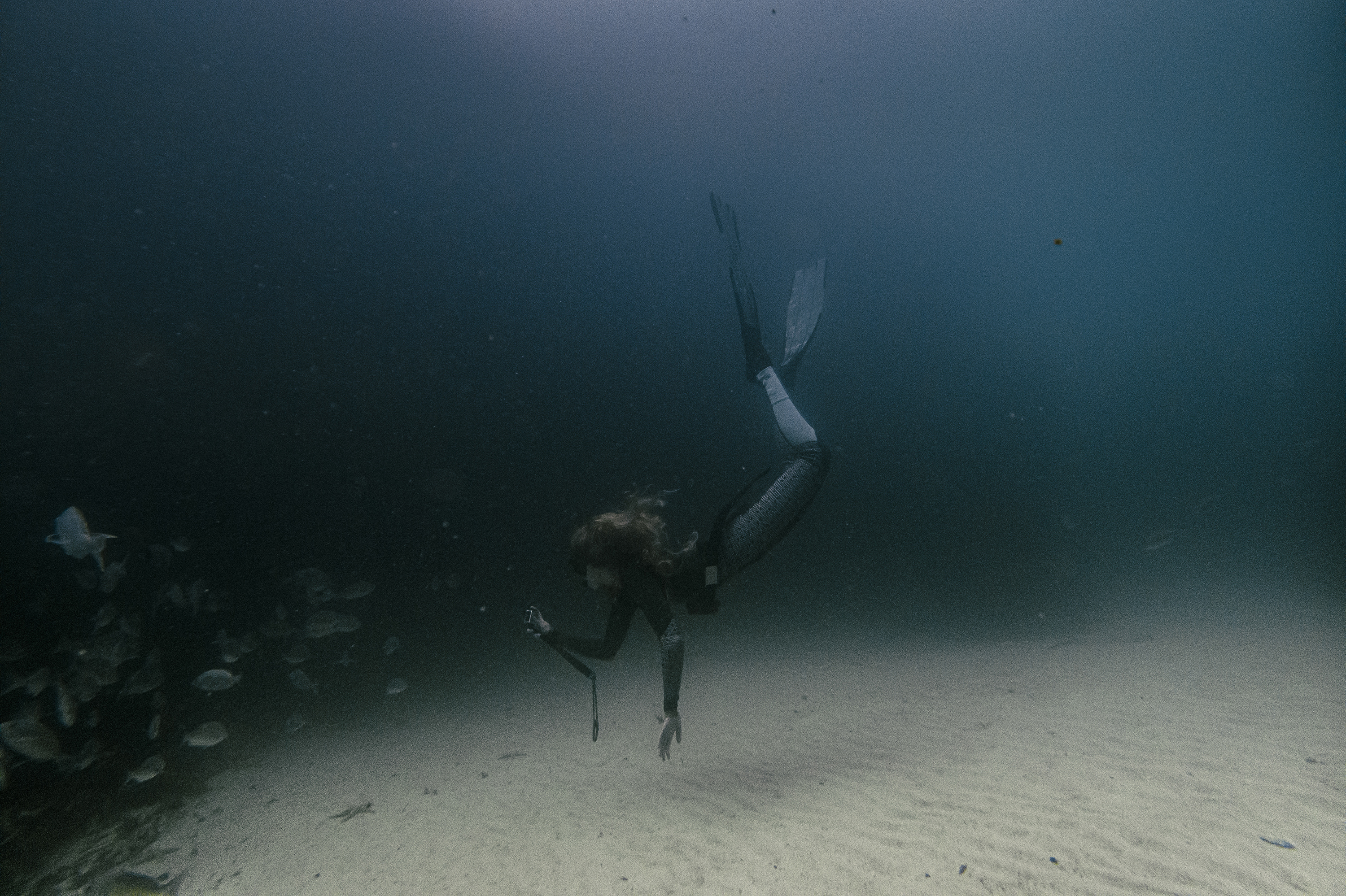 Dr. Storm Bissict, 35, dives in False Bay along the coast of Cape Town. It's her way of decompressing from her hectic pandemic days. (Charlie Shoemaker for NPR)