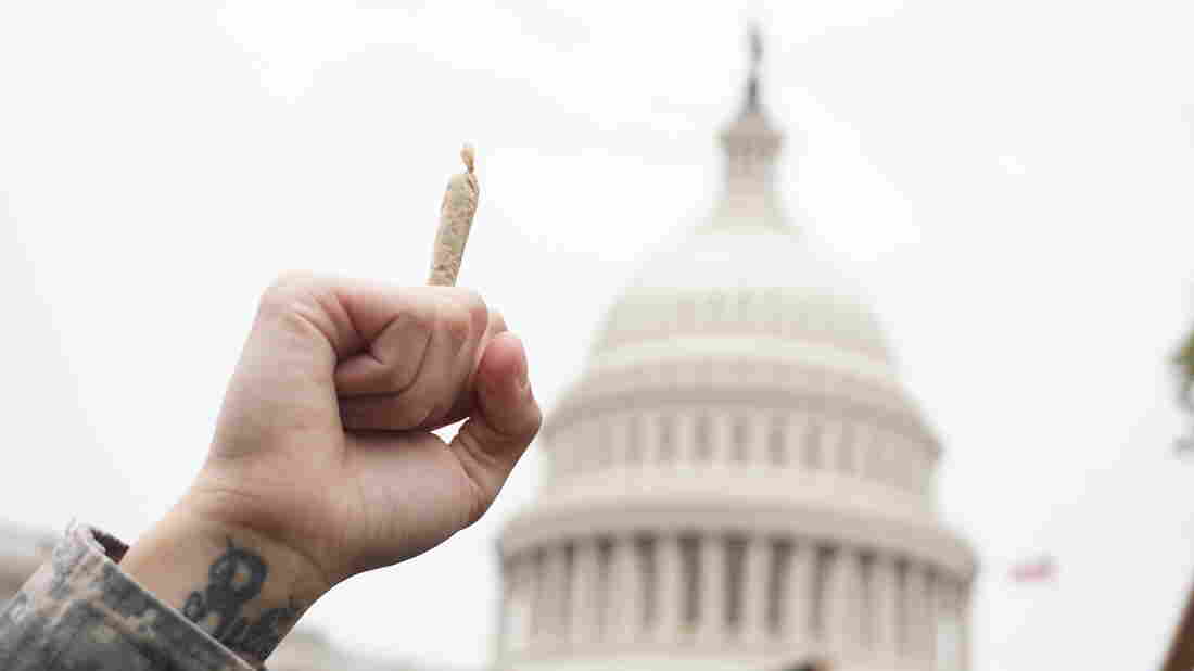 Pro-cannabis activists take part in a rally on Capitol Hill on April 24, 2017 in Washington, DC. (Photo by MANDEL NGAN / AFP) (Photo credit should read MANDEL NGAN/AFP via Getty Images)