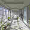The 2021 Pritzker Prize is awarded to French architects who