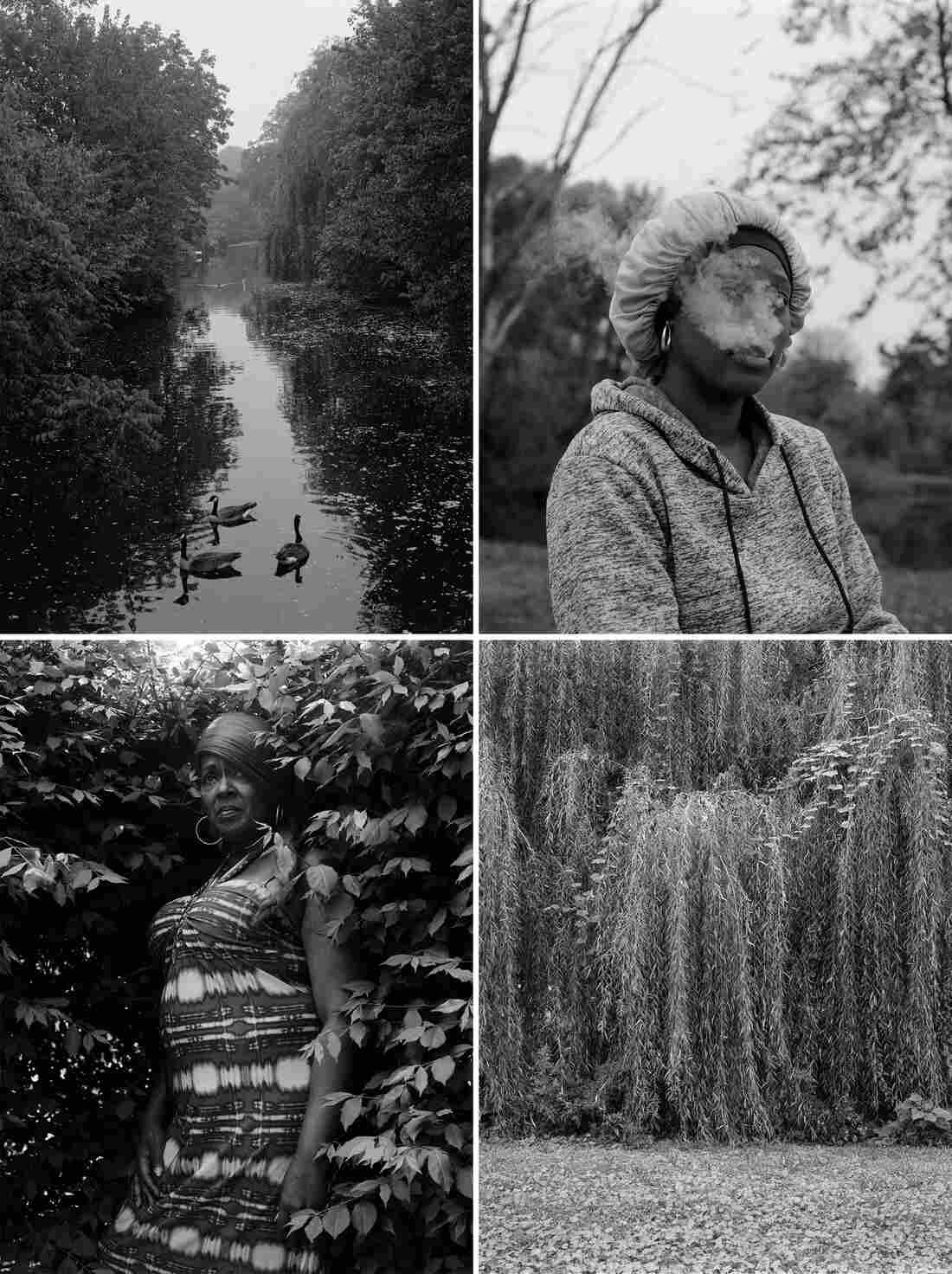 Canadian Geese swimming, a Black woman smoking, a willow tree, a portrait of a Black woman standing amongst foliage.