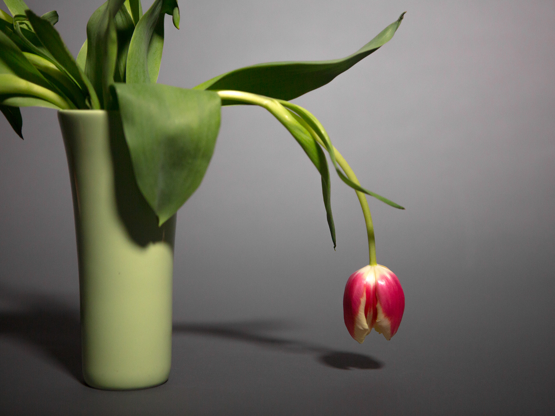 Kick your tiredness with these 7 natural energy boosters