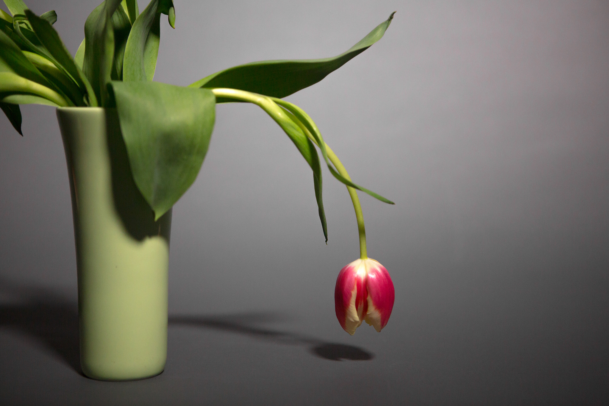  (Photo illustration by Becky Harlan/NPR)
