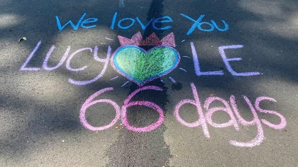 Last summer, Lucy Le was killed on a street near her Virginia home by a neighbor backing out of her driveway. Her daughter, Laura Pho, now draws a new memorial to her mother every day on the pavement where she died. &quot;It's my meditation,&quot; she says. &quot;It's my way of honoring her.&quot; (Courtesy of Laura Pho)