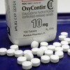 Judge Blocks Lawsuits Against Sackler Family As OxyContin Bankruptcy Talks Continue